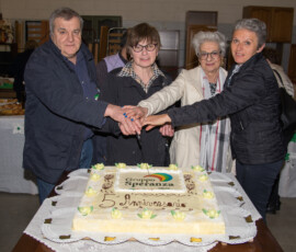 Taglio della torta al 5 anniversario